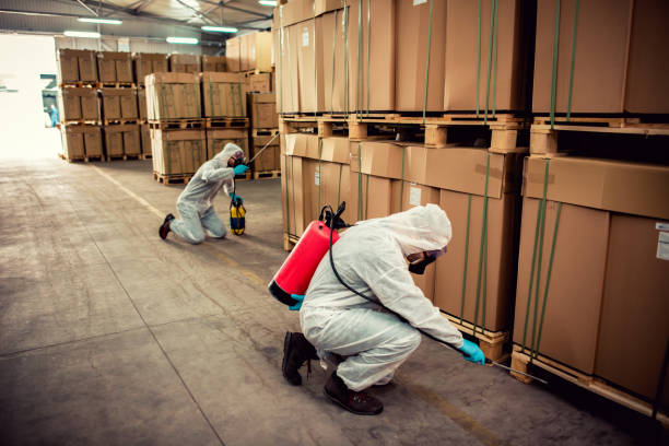 Best Termite Control Services  in Lake Park, IA