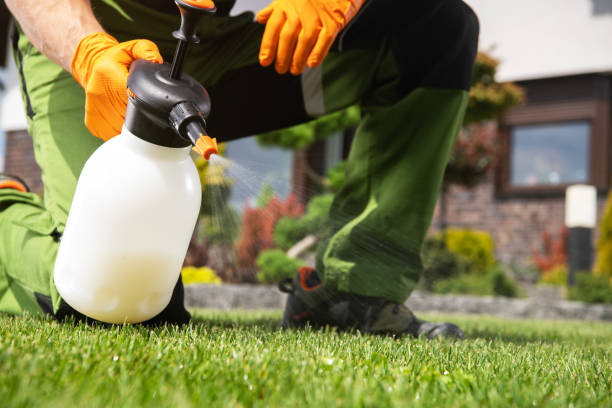 Best Wildlife Control Services  in Lake Park, IA