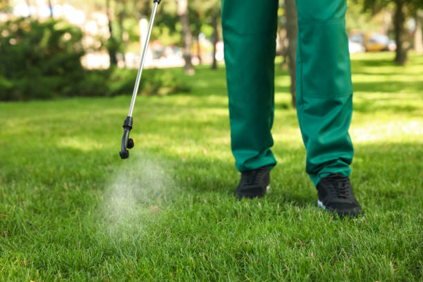 Bird Control in Lake Park, IA