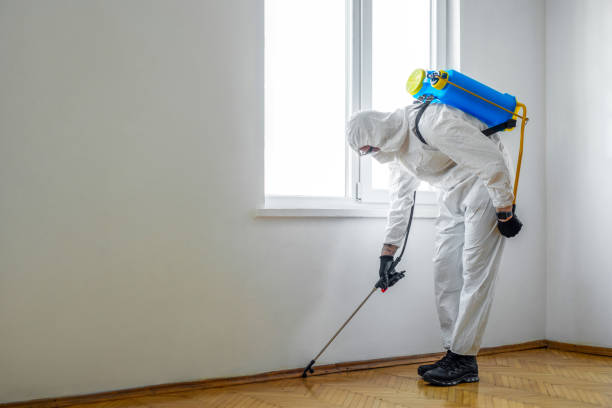 Best Best Pest Control Companies  in Lake Park, IA