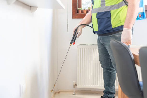 Best Affordable Pest Control Services  in Lake Park, IA