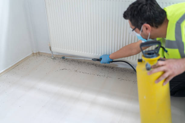 Best Flea Control Services  in Lake Park, IA
